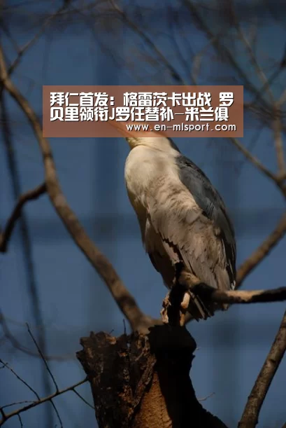 米兰俱乐部