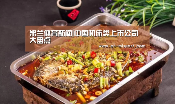 米兰体育新闻|中国机床类上市公司大盘点(图1) 米兰俱乐部