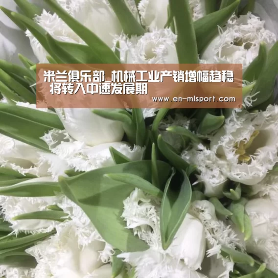 米兰体育在线