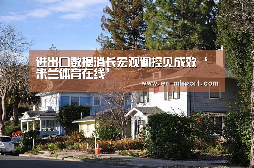 进出口数据消长宏观调控见成效‘米兰体育在线’(图3) 米兰体育新闻