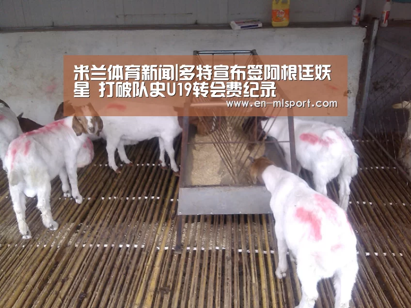 米兰球队