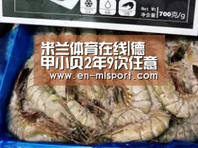 米兰球队